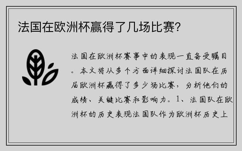 法国在欧洲杯赢得了几场比赛？